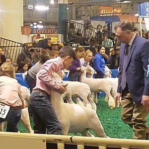 Meet your Posher, Katherine